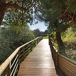 Colina